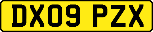 DX09PZX
