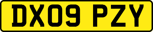 DX09PZY