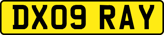 DX09RAY