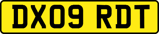 DX09RDT