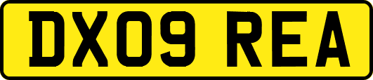 DX09REA