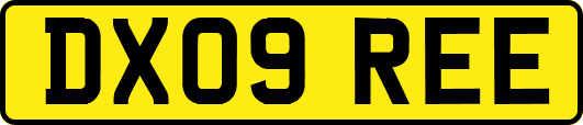 DX09REE