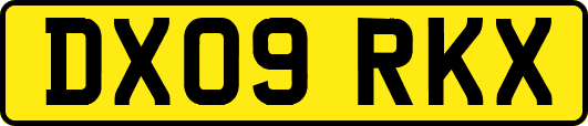 DX09RKX