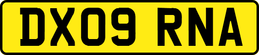 DX09RNA