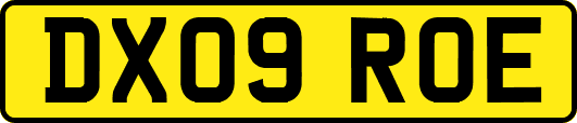 DX09ROE