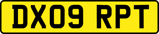 DX09RPT