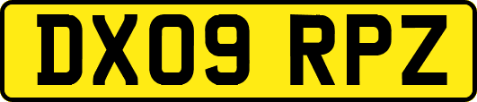 DX09RPZ