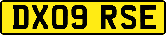 DX09RSE
