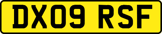 DX09RSF