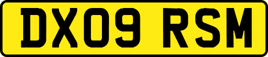 DX09RSM