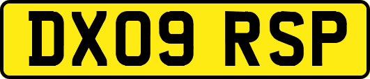 DX09RSP