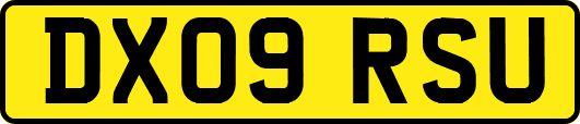 DX09RSU
