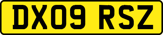 DX09RSZ