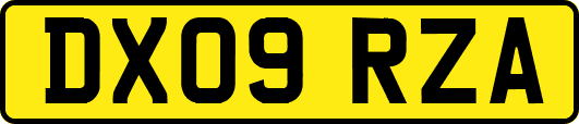 DX09RZA