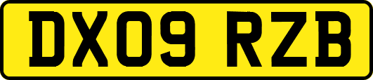DX09RZB