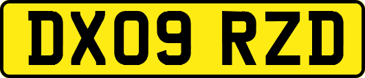 DX09RZD