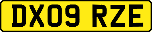 DX09RZE