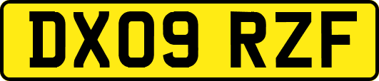 DX09RZF