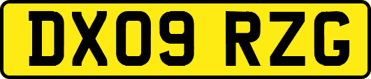 DX09RZG