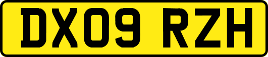 DX09RZH