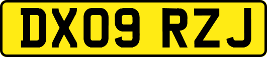 DX09RZJ