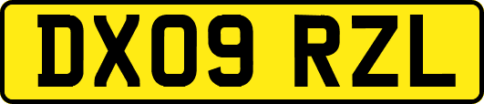 DX09RZL