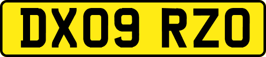 DX09RZO