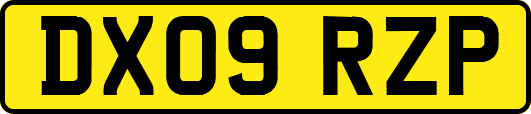 DX09RZP