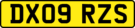 DX09RZS