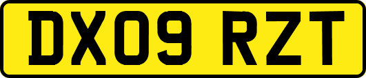 DX09RZT