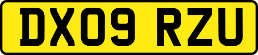DX09RZU