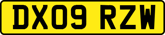 DX09RZW