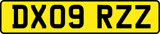 DX09RZZ