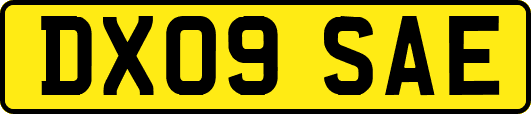 DX09SAE