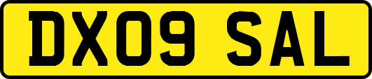 DX09SAL