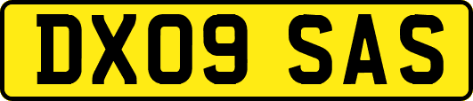 DX09SAS