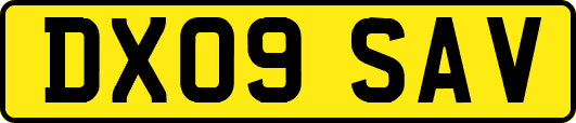 DX09SAV