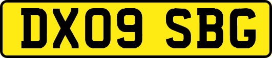 DX09SBG