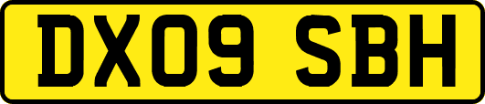 DX09SBH