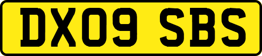 DX09SBS
