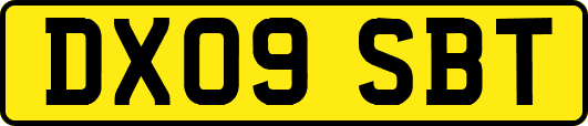 DX09SBT