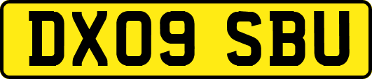 DX09SBU