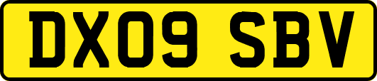 DX09SBV