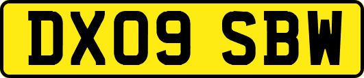 DX09SBW