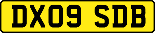 DX09SDB