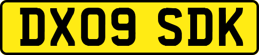 DX09SDK