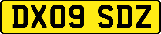 DX09SDZ