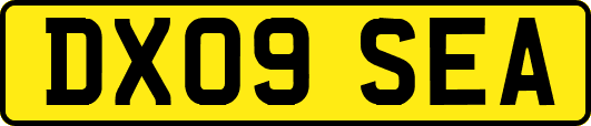 DX09SEA