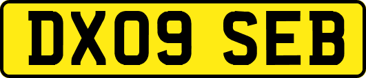 DX09SEB