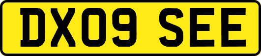 DX09SEE